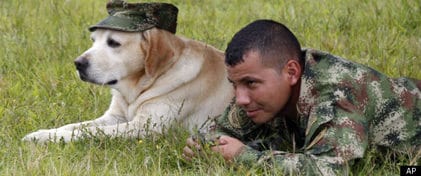 Uniting Shelter Dogs With Military Heros