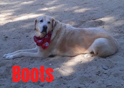 America's Hometown Hound contestant Boots