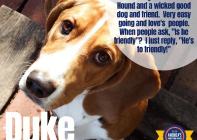 Duke America's Hometown Hound contestant