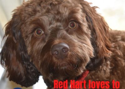 America's Hometown Hound contestant Red Hart