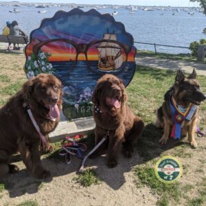 JAC Mascots Quinn and Misha with America's Hometown Hound Charlie Brown Plymouth MA